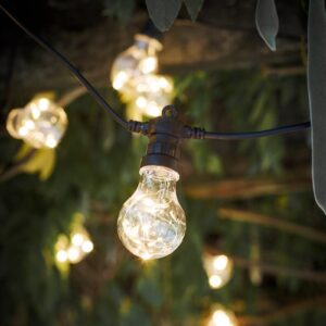Festoon lights 20 bulbs