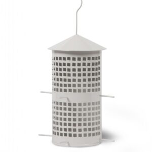 Bird nut feeder in chalk