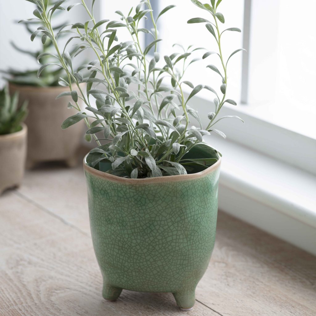 Plant pot.Bring the outdoors in with beautiful botanicals styled in the ...