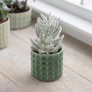 Plant pot, Sorrento pot