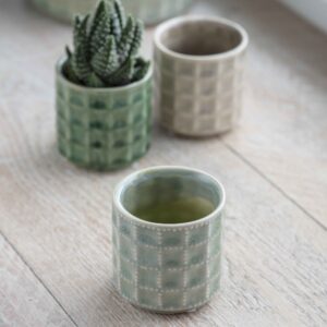 Plant pot, Sorrento plant pot in small size in soft sage colour for little cacti and succulents